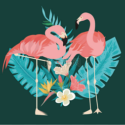 热带粉红色火烈鸟和异国情调的植