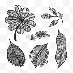 树叶线条纹理图片_黑白纹理植物叶子