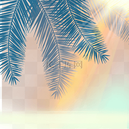 阳光穿透棕榈叶照射在海面上