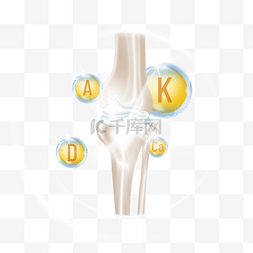 肘关节关节图片_光效身体关节骨头