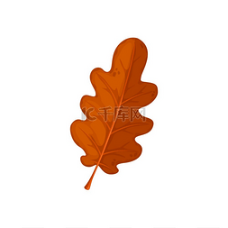 秋季橡树叶矢量图标卡通落叶棕色