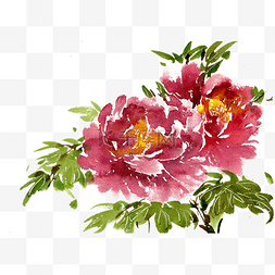 红色牡丹花瓣图片_鲜艳的牡丹花丛水墨