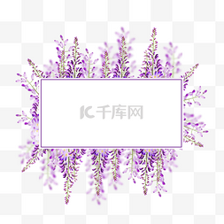 紫藤植物图片_水彩紫藤花卉几何边框