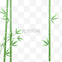 春天春季植物竹子竹叶