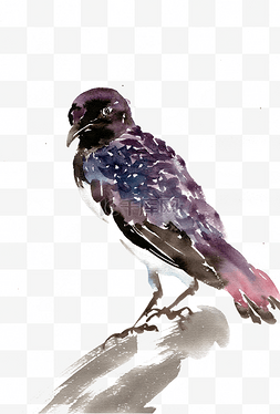 紫色的小鸟