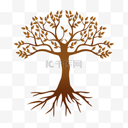 棕色树木和树根的剪影