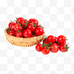 新鲜小番茄圣女果