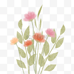 手绘花朵植物图片_手绘彩色水彩花卉花朵植物绿植