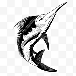 旗鱼黑白素描海洋生物