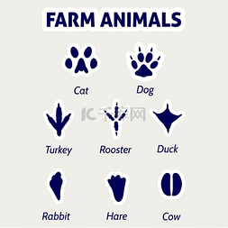 农场动物脚印贴纸白色背景上的农
