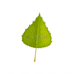 绿色的卡通植物图片_桦树树叶矢量图标卡通树叶绿色的
