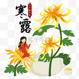 寒露采露水赏菊女孩