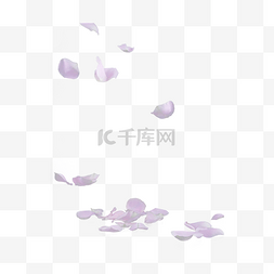 玫瑰花瓣玫瑰花图片_粉色玫瑰花瓣