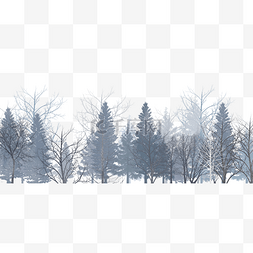 奇幻树林图片_冬季树丛树林枯树森林雪景