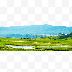 韦湿地户外风景