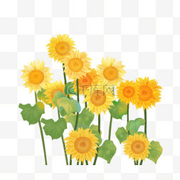 阳光绿植背景图图片_夏季植物绿植向日葵花卉