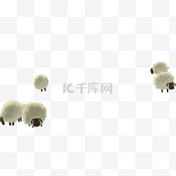 绵羊动物