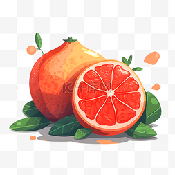 橙子西柚图片_水果西柚红柚葡萄柚