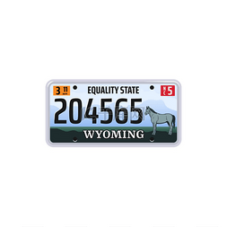 怀俄明州平等州车辆编号隔离矢量