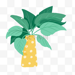 室内植物盆栽图片_黄色圆点花瓶室内植物盆栽
