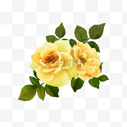 黄色玫瑰婚礼水彩花卉