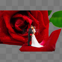 情人节白天玫瑰花和小人室内婚纱