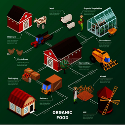 有机农产品等距图标流程图与农场