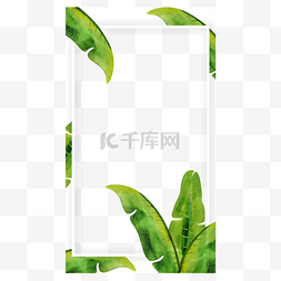 边框水彩热带植物instagram