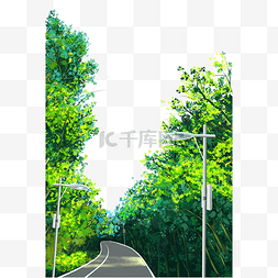 夏日风景图片_林荫小道路灯