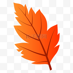 橙色秋季树叶