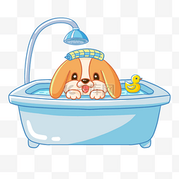 狗图片_洗澡沐浴洗护用品洗澡的狗