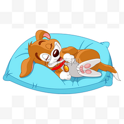 宠物奖章图片_狗躺在枕头上