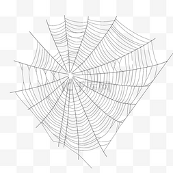 蜘蛛网昆虫细丝黑色线条