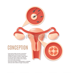宫颈癌预后图片_怀孕概念图标