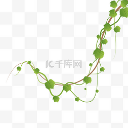 绿植照片4图片_藤蔓植物绿植爬山虎