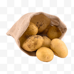 土豆图片_土豆食品农作物摄影图