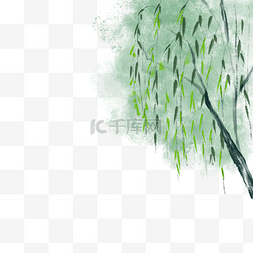 绿叶鲍鱼图片_春季水墨植物柳树