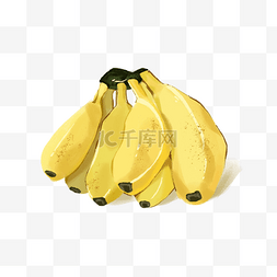 手绘插画黄色成熟香蕉芭蕉