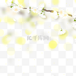 光效图片_树枝上的花朵春天光效花卉边框