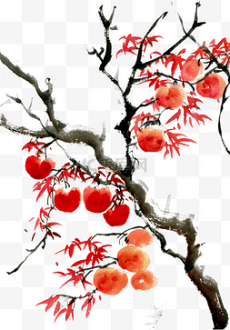 水墨红色图片_柿子与红叶水墨