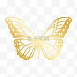 不规则镂空金色线稿蝴蝶
