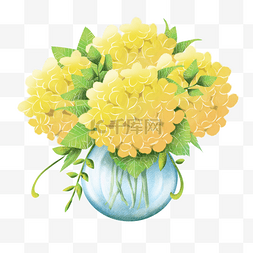 黄色的花朵装饰图片_绣球水彩风格花瓶装饰