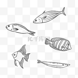 海生物图片_黑白线描海鲜鱼