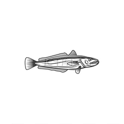 鳕鱼一样的鱼孤立的单色图标媒介