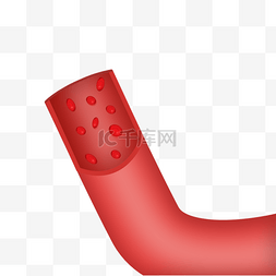 血管血细胞图片_人体血管红色器官插图