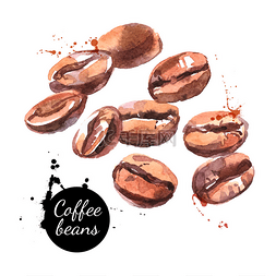 咖啡豆手绘图片_水彩画咖啡豆.