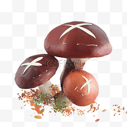 野生菌餐普图片_秋季仿真蘑菇秋天植物食物菌菇