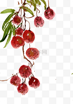 植物水墨画图片_红色的荔枝水墨