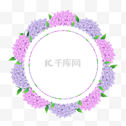 绣球花矢量图片_绣球花卉水彩紫粉色边框