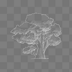 素描扫地图片_白色素描线条植物树木